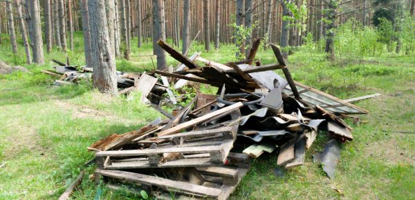Debris Removal Service in Norwalk