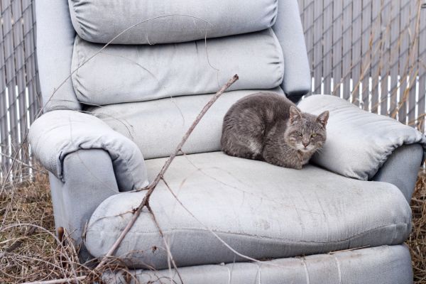 Recliner Disposal in Norwalk